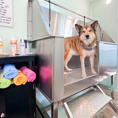 Commercial RV: Dog Grooming Bath