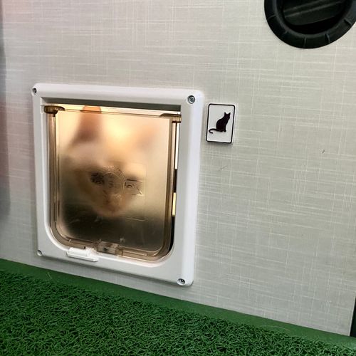 Mel the Cat’s Executive Washroom